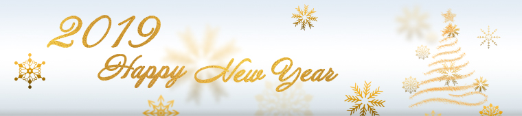2019 Happy New Year