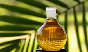Level instrumentation in palm oil applications